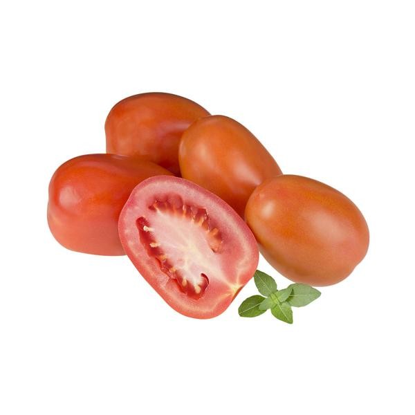 [CV0268] Tomate Italiano