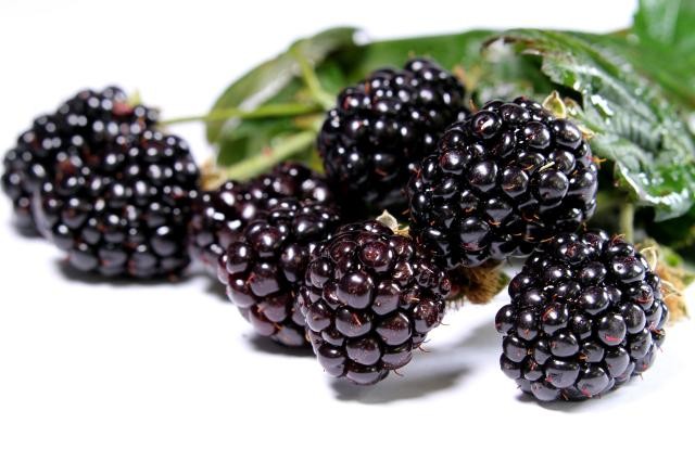 Amora Preta bdj 100g