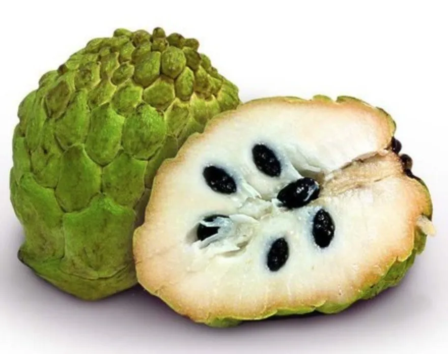 Atemóia (fruta do conde)