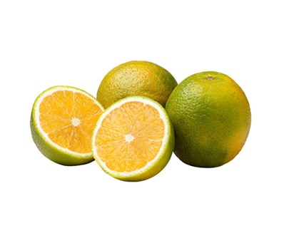 Laranja Pera