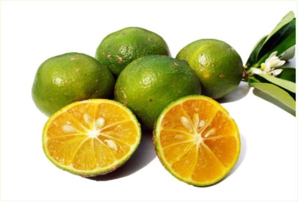 Limão Cravo