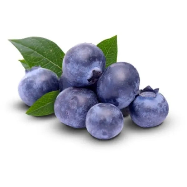 [CV0193] Mirtilo / Blue Berry bdj 100g