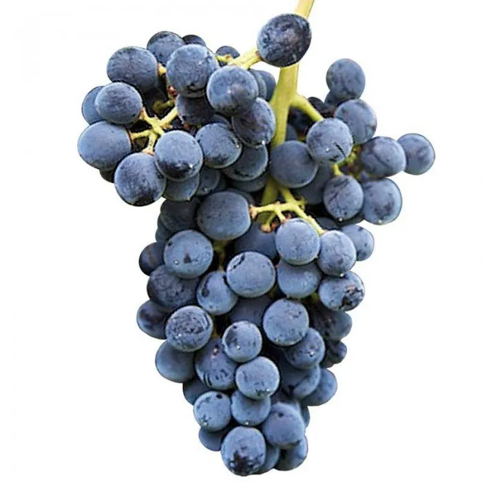Uva Isabel 500g