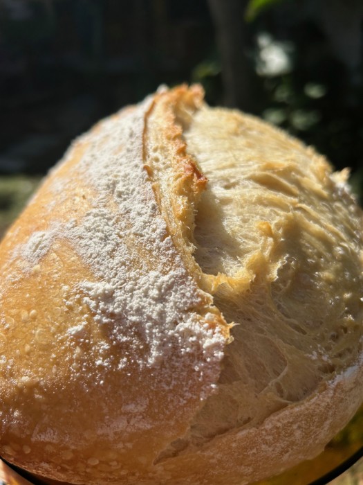 Pão Rústico de Fermentação Natural