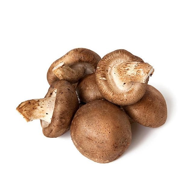 Cogumelo Shitake