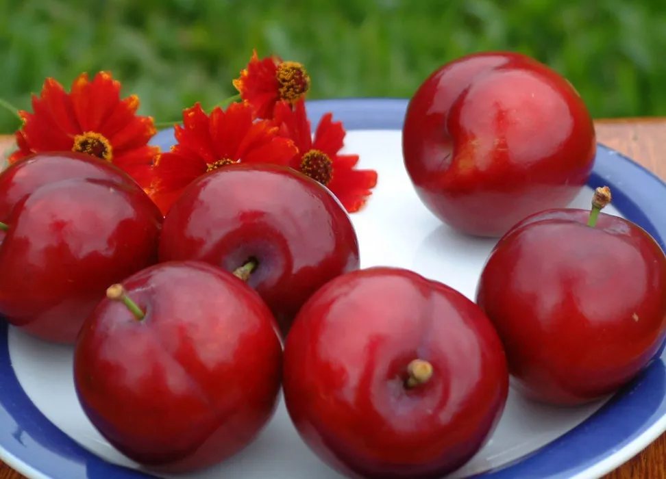 Ameixa Vermelha (500g)