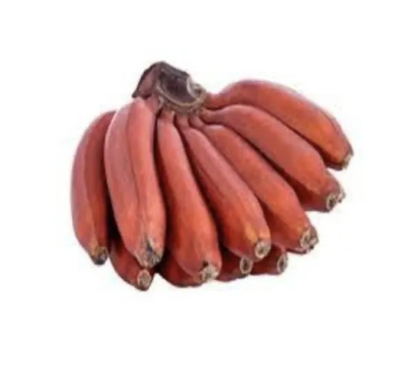 [CV0044] Banana Vinagre (roxa)