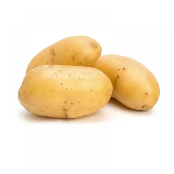 Batata Andina ("Inglesa")