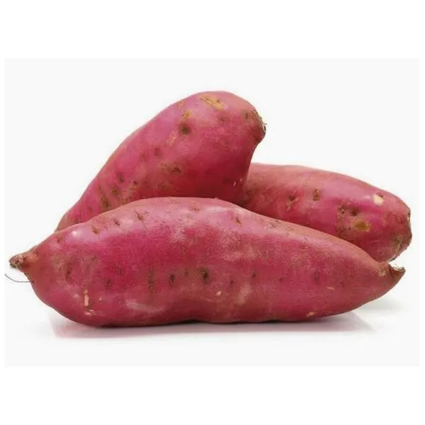 [CV0048] Batata Doce