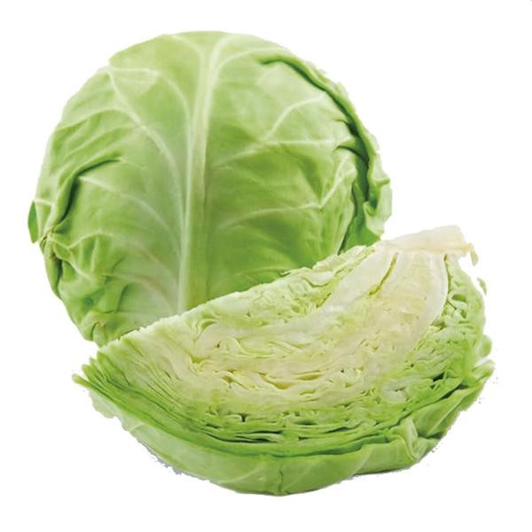Repolho Verde
