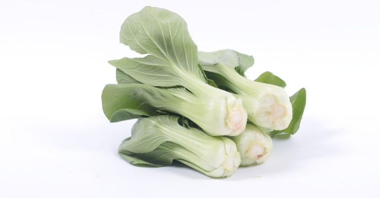 [CV0008] Acelga Chinesa