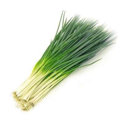 [CV0081] Cebolinha