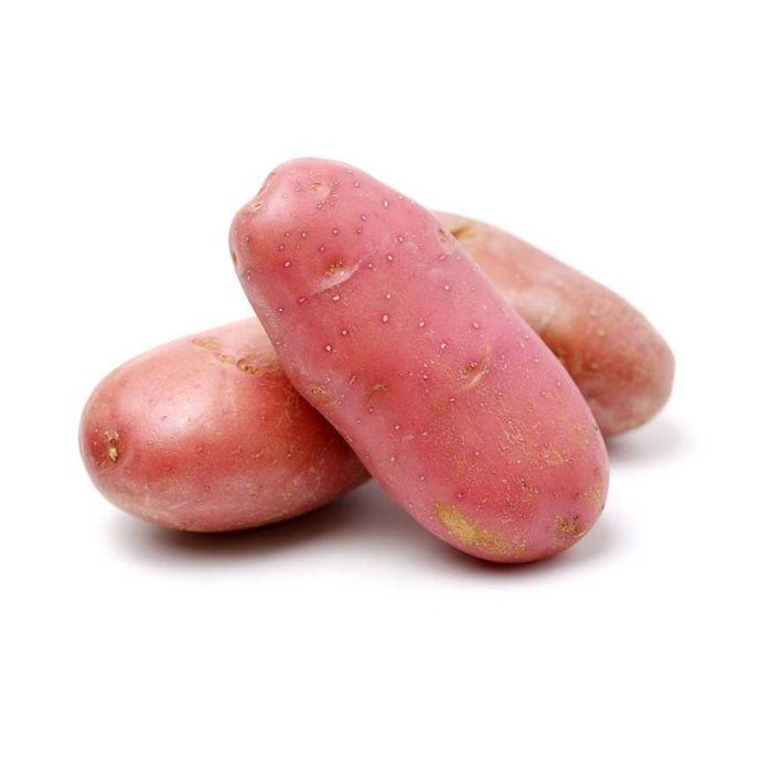 [CV0052] Batata asterix