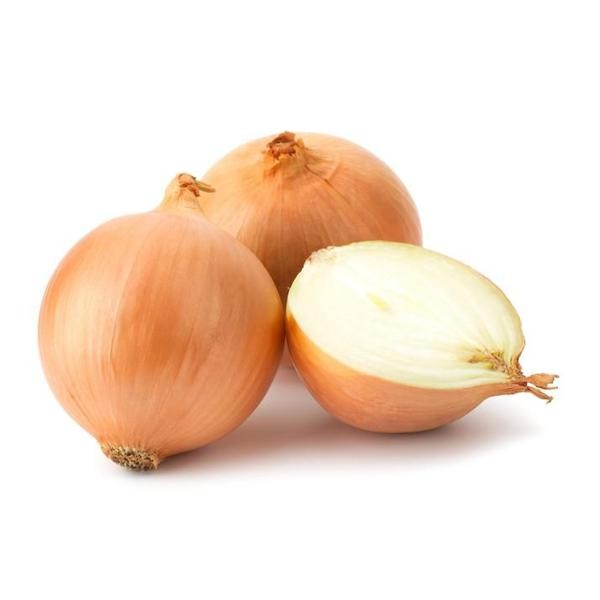 [CV0079] Cebola