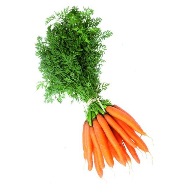 Cenoura (com rama)