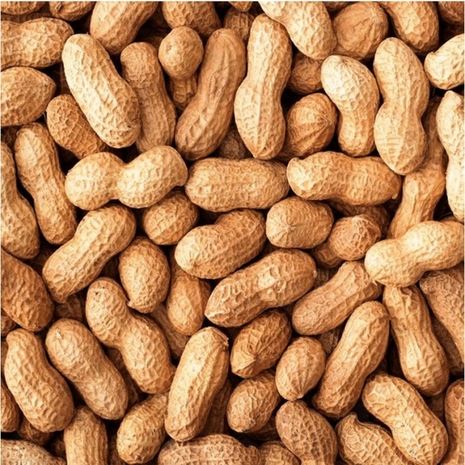 Amendoim com casca cru 500g