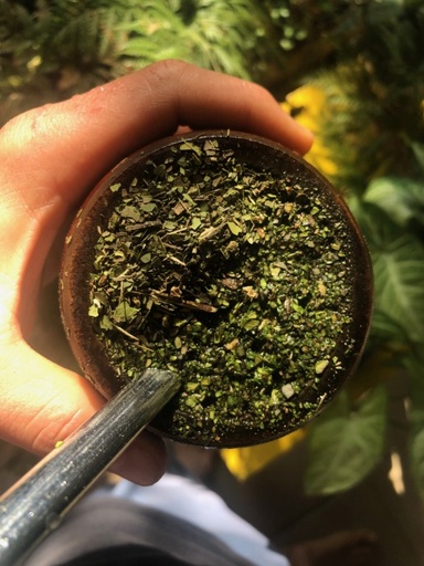 Erva mate para chimarrão 1kg