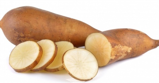 Batata Yacon